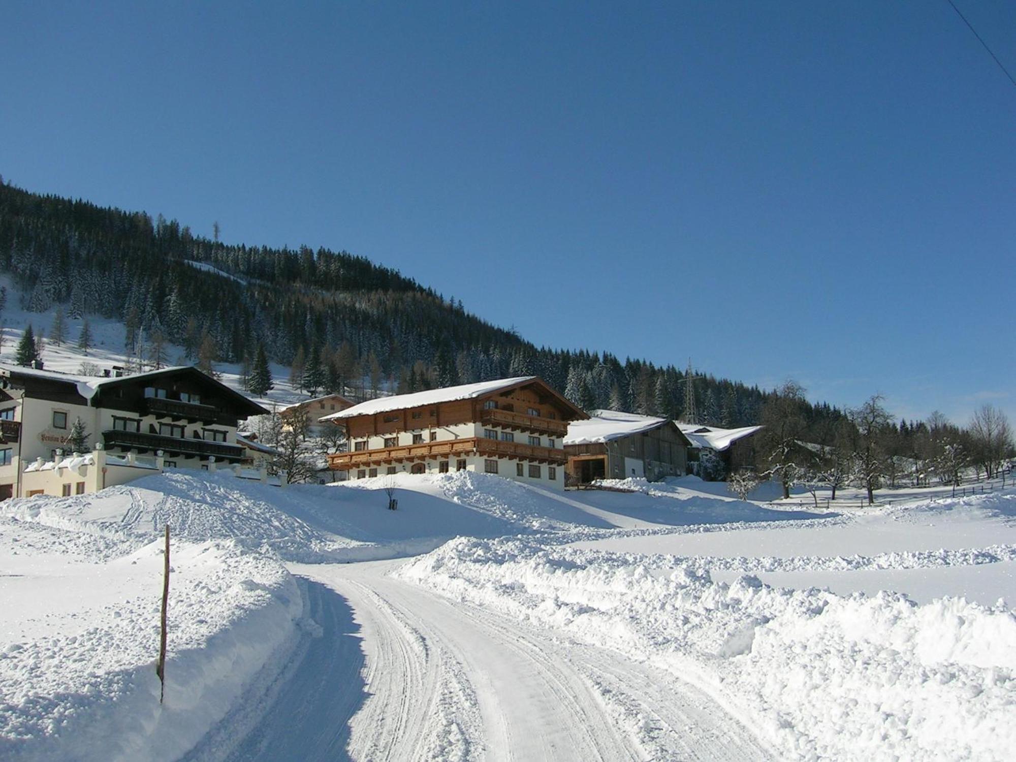 Appartement Sauschneid Hof à Taxenbach Extérieur photo